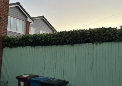 m.b garden services facebook gallery 10