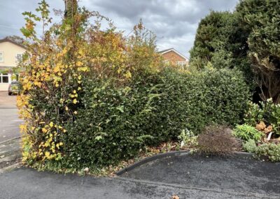 m.b garden services facebook gallery 13