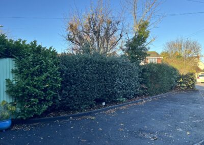 m.b garden services facebook gallery 2