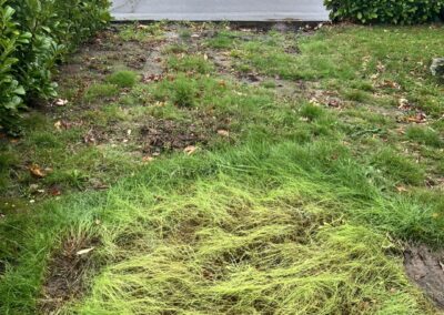 m.b garden services facebook gallery 21