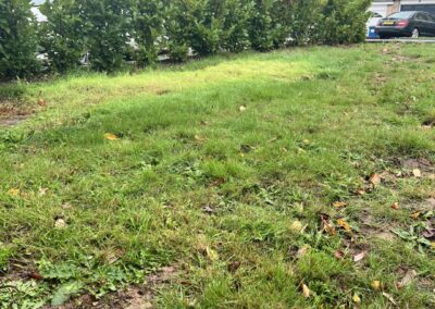 m.b garden services facebook gallery 26