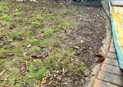 m.b garden services facebook gallery 27