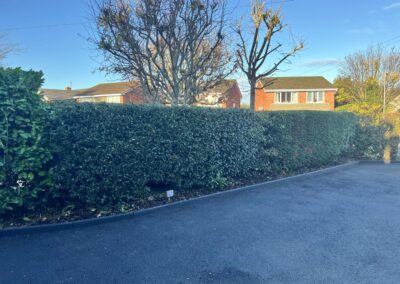 m.b garden services facebook gallery 4