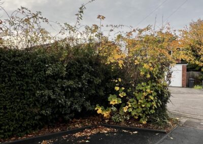 m.b garden services facebook gallery 6