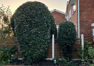 m.b garden services facebook gallery 7