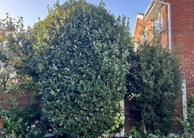 m.b garden services facebook gallery 8