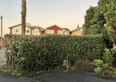 m.b garden services facebook gallery 9